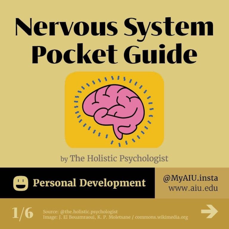 AIU Slides: Nervous System Pocket Guide