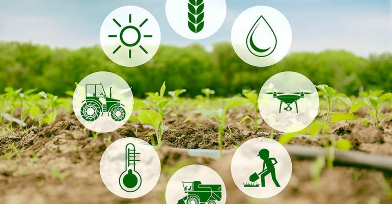 iot-in-agriculture