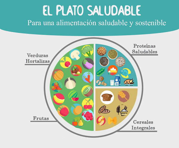 Plato_saludable_sostenible_PIOBIN