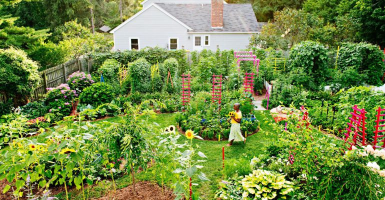 BHG-What-Is-a-Permaculture-Garden-3AWGe3jUq5hAt8vbh3yisf-f3d0c14454b44bf5b319234918574b9e