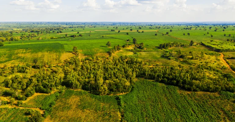 What is sustainable land management -Pillar Combating Desertification_featured